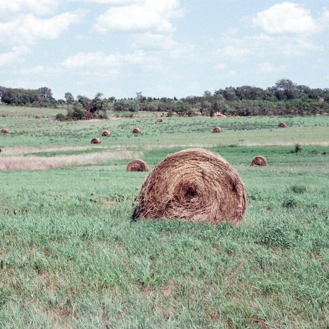 A field with hay bales in the middle of it.